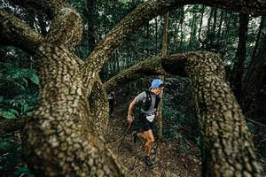 BIB: 
                            <button type="button" onclick="openModal(25389617)" class="btn btn-primary btn-sm float-right btn-popup" data-toggle="modal" data-target=".modal-high-quality">
                        <i class="fas fa-shopping-cart"></i> Add to Cart
                    </button>
                                            <button type="button" onclick="isThisMe(25389617, true)" class="btn btn-success btn-sm float-right btn-popup btn-isme hidden" data-toggle="tooltip" data-placement="bottom" title="นี่คือรูปของคุณใช่ไหม คลิกที่นี่เพื่อเอาเข้าอัลบั้ม">
                        <i class="fas fa-plus"></i> Add to album
                    </button>
                    <button type="button" onclick="isThisMe(25389617, false)" class="btn btn-warning btn-sm float-right btn-popup btn-isnotme hidden">
                        <i class="fas fa-ban"></i> Remove from album
                    </button>